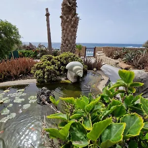  Apartment Little Paradise In El Medano 2 Spain